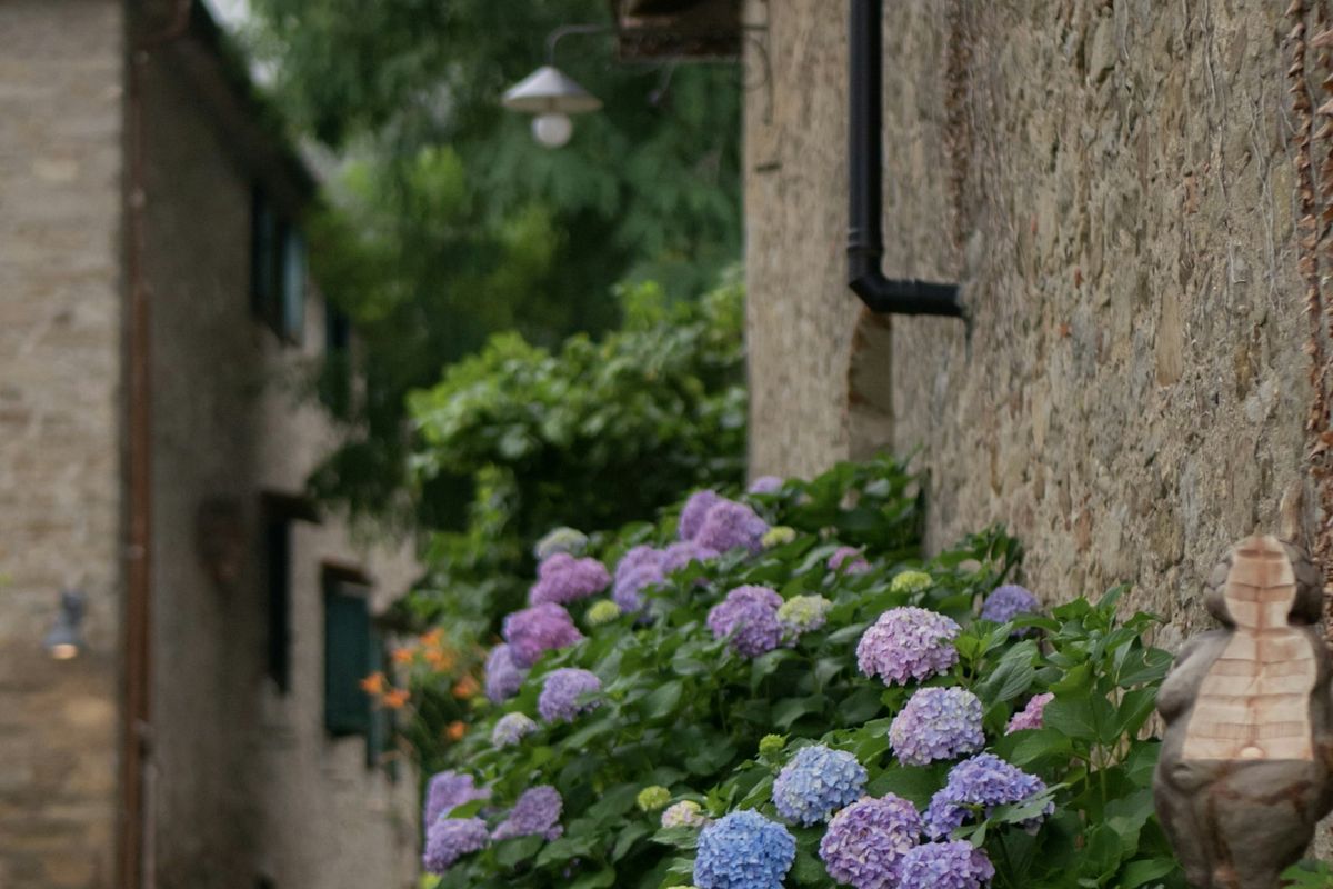 Sentiero dell'campagna a 400 m dalla villa