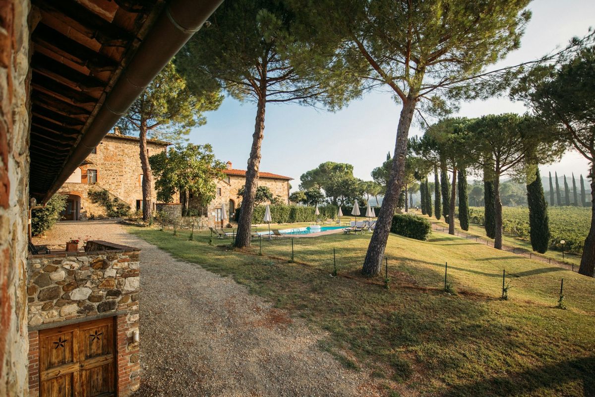Piscina con ulivo secolare riflesso nell'acqua